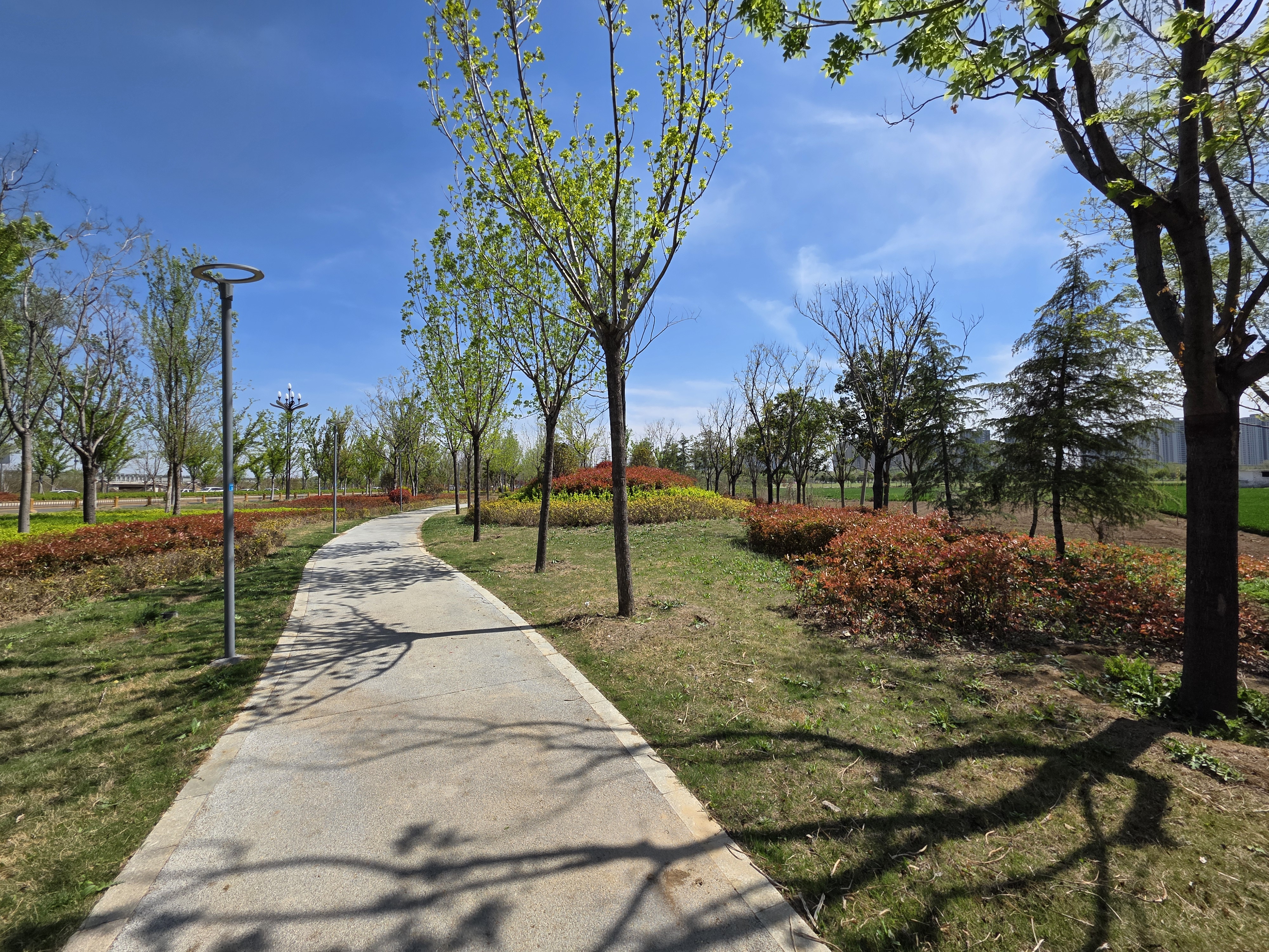 图片[13]-北辛公园的初春：一场从“破风”到“避障”的骑行-巍瀚の手記