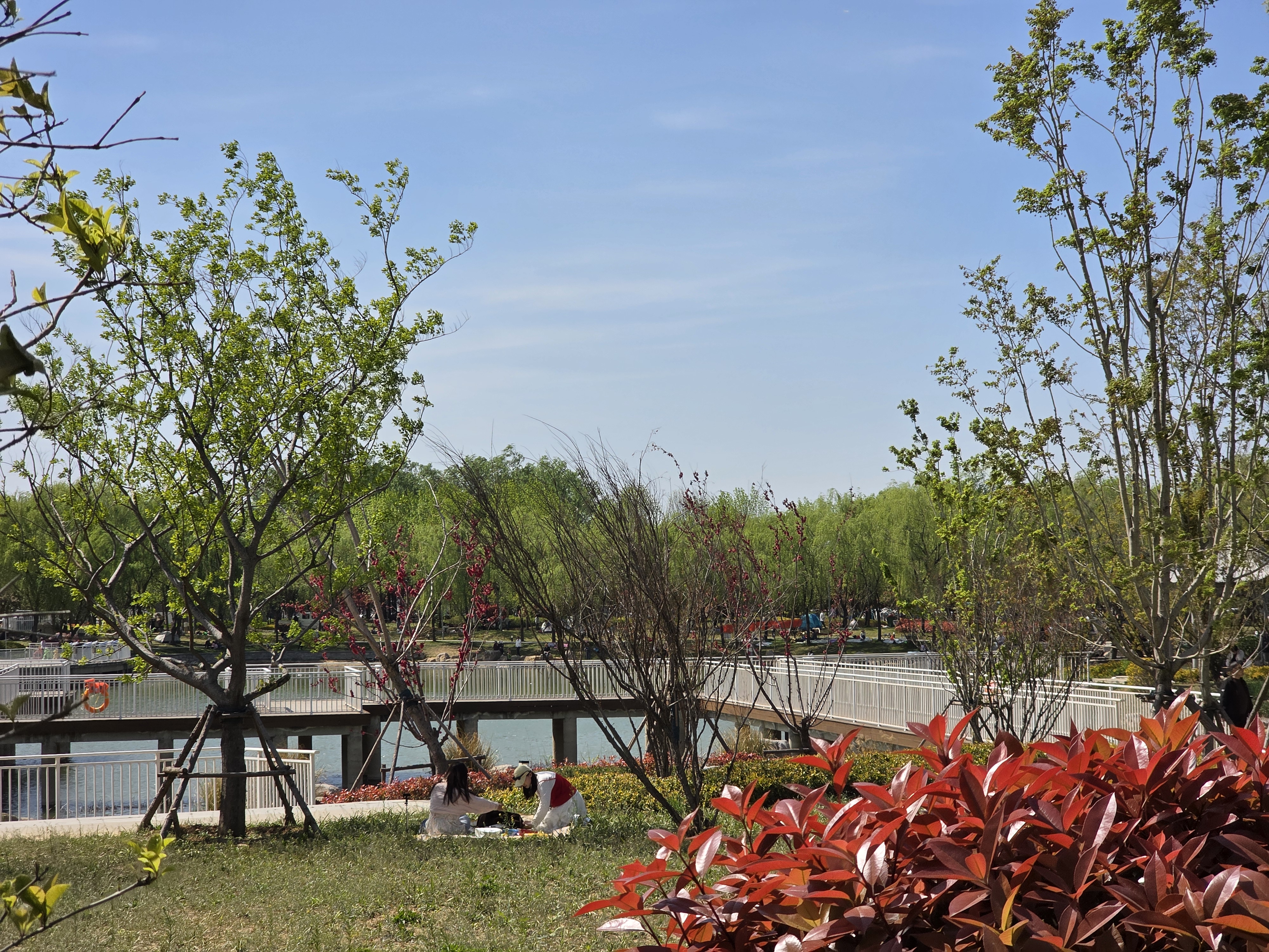 图片[12]-北辛公园的初春：一场从“破风”到“避障”的骑行-巍瀚の手記