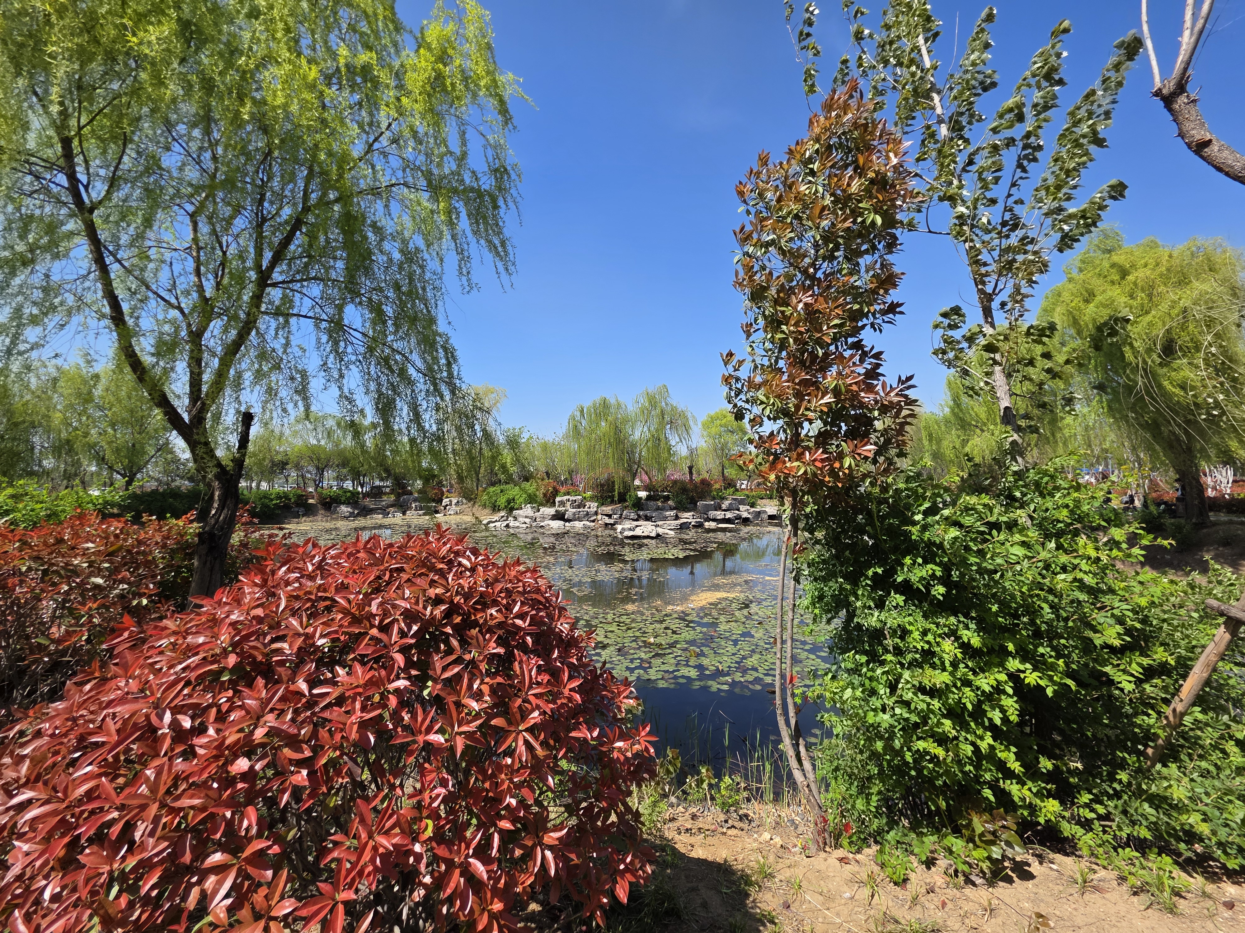 图片[6]-北辛公园的初春：一场从“破风”到“避障”的骑行-巍瀚の手記