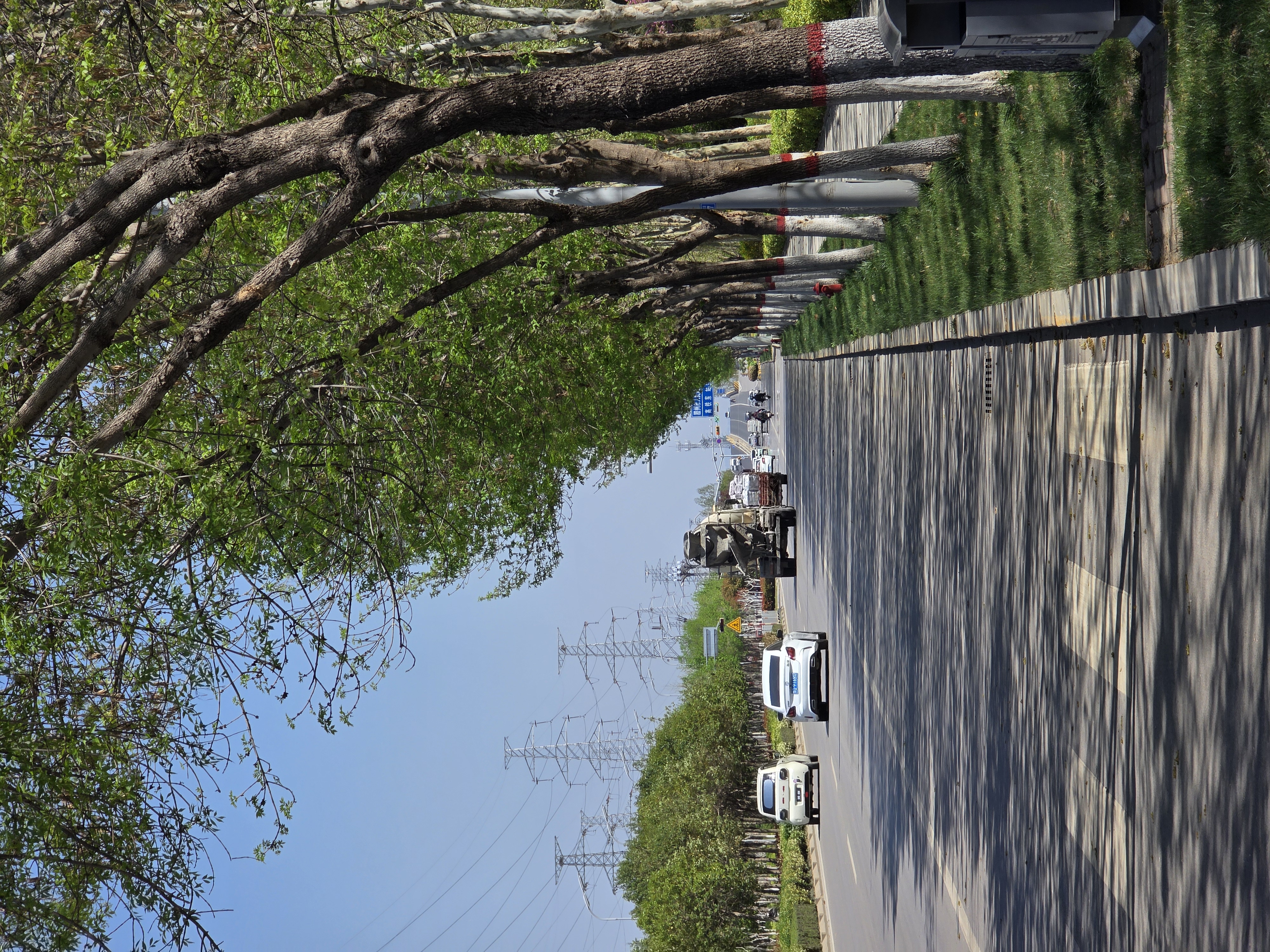 图片[1]-北辛公园的初春：一场从“破风”到“避障”的骑行-巍瀚の手記