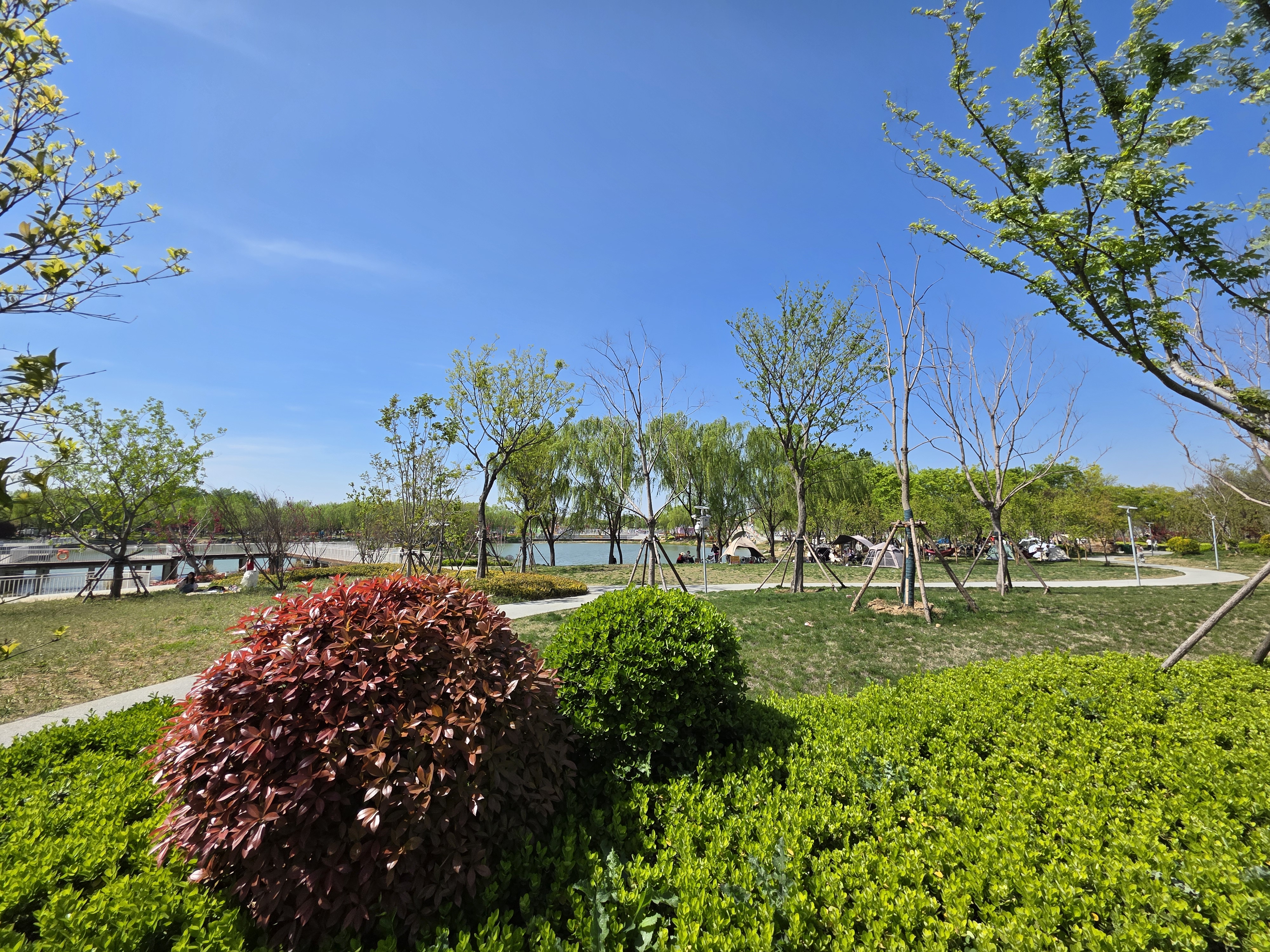 图片[11]-北辛公园的初春：一场从“破风”到“避障”的骑行-巍瀚の手記