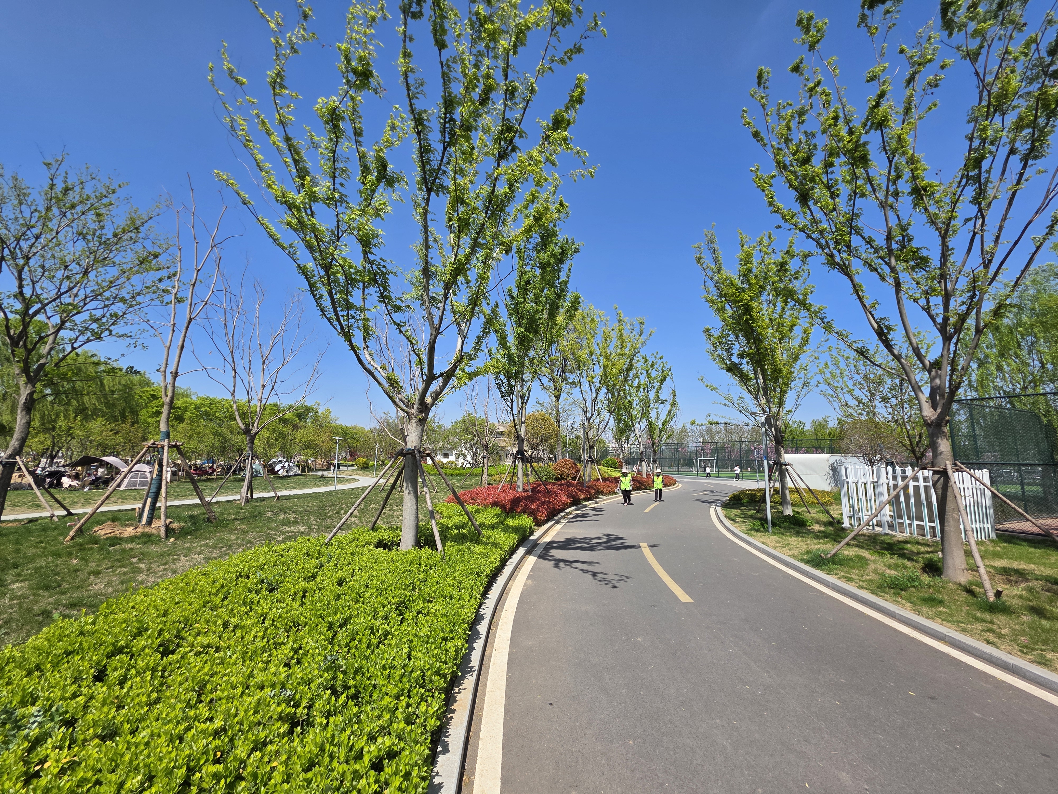 图片[8]-北辛公园的初春：一场从“破风”到“避障”的骑行-巍瀚の手記