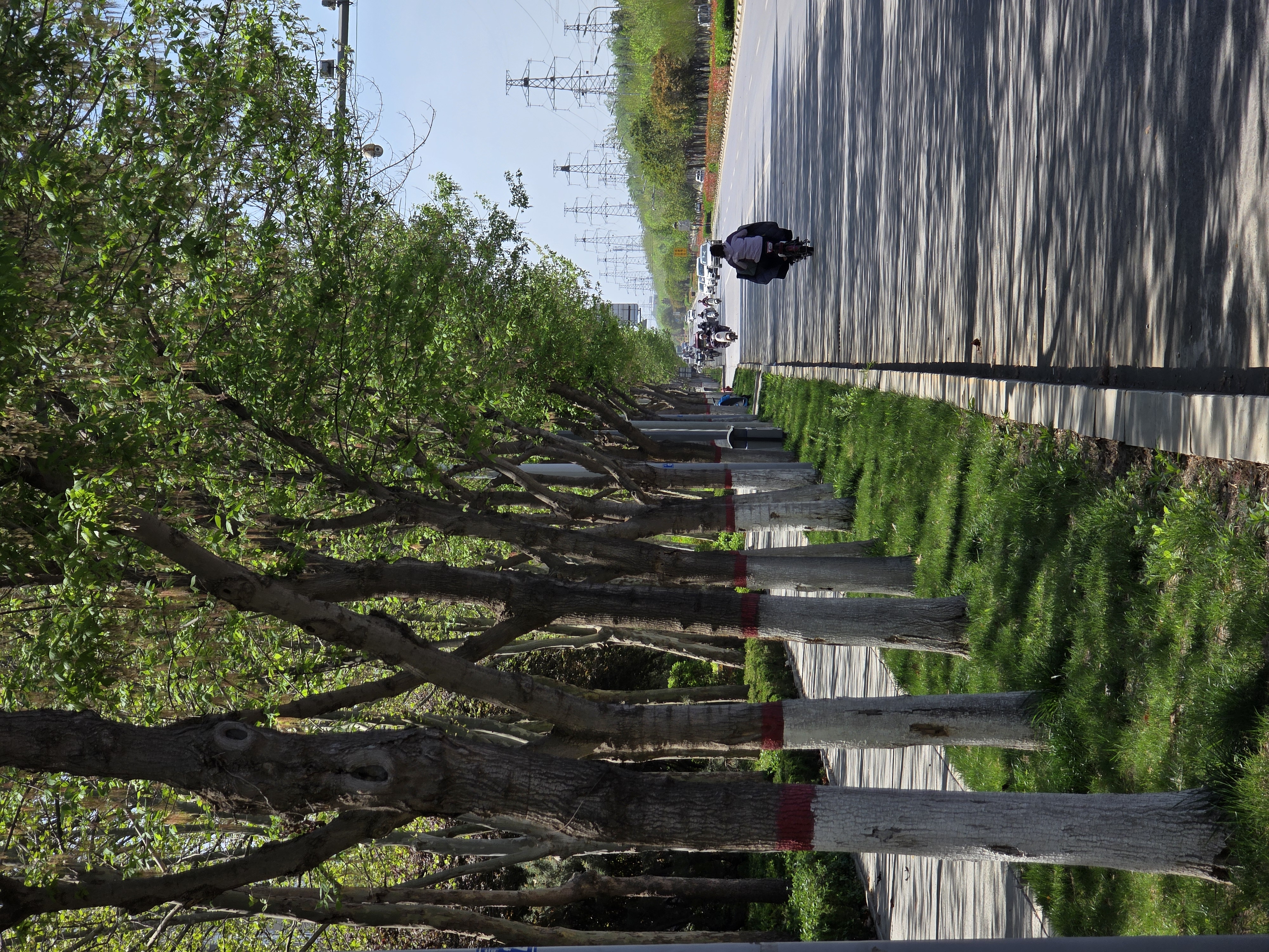 图片[2]-北辛公园的初春：一场从“破风”到“避障”的骑行-巍瀚の手記