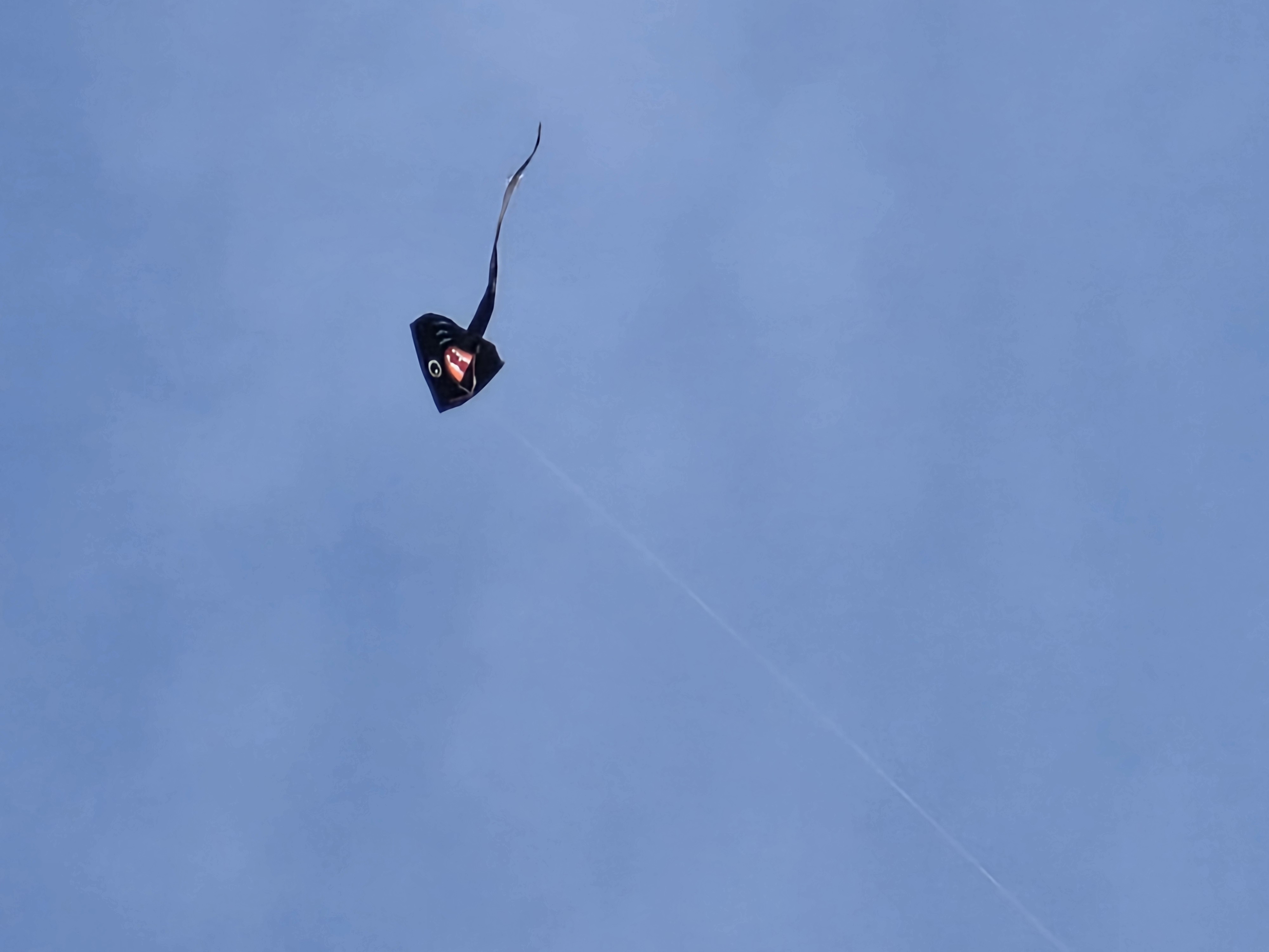 图片[3]-北辛公园的初春：一场从“破风”到“避障”的骑行-巍瀚の手記